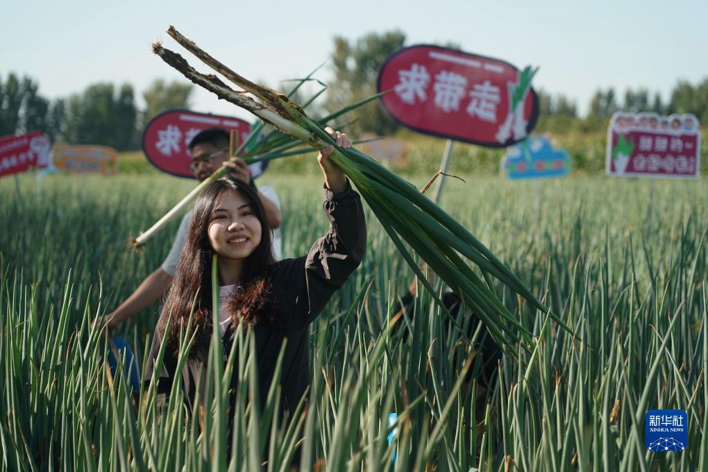 亚洲城乐官网